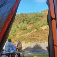 willow-springs-campsite-9fo5f