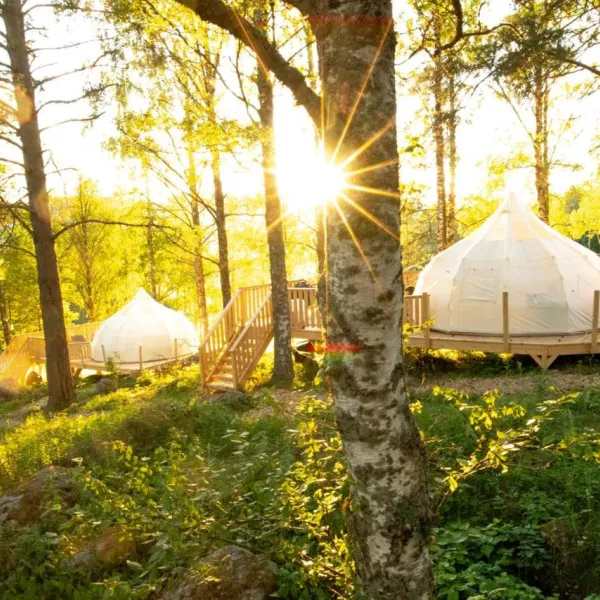 camp-jarvso-jarvso-mpg3d