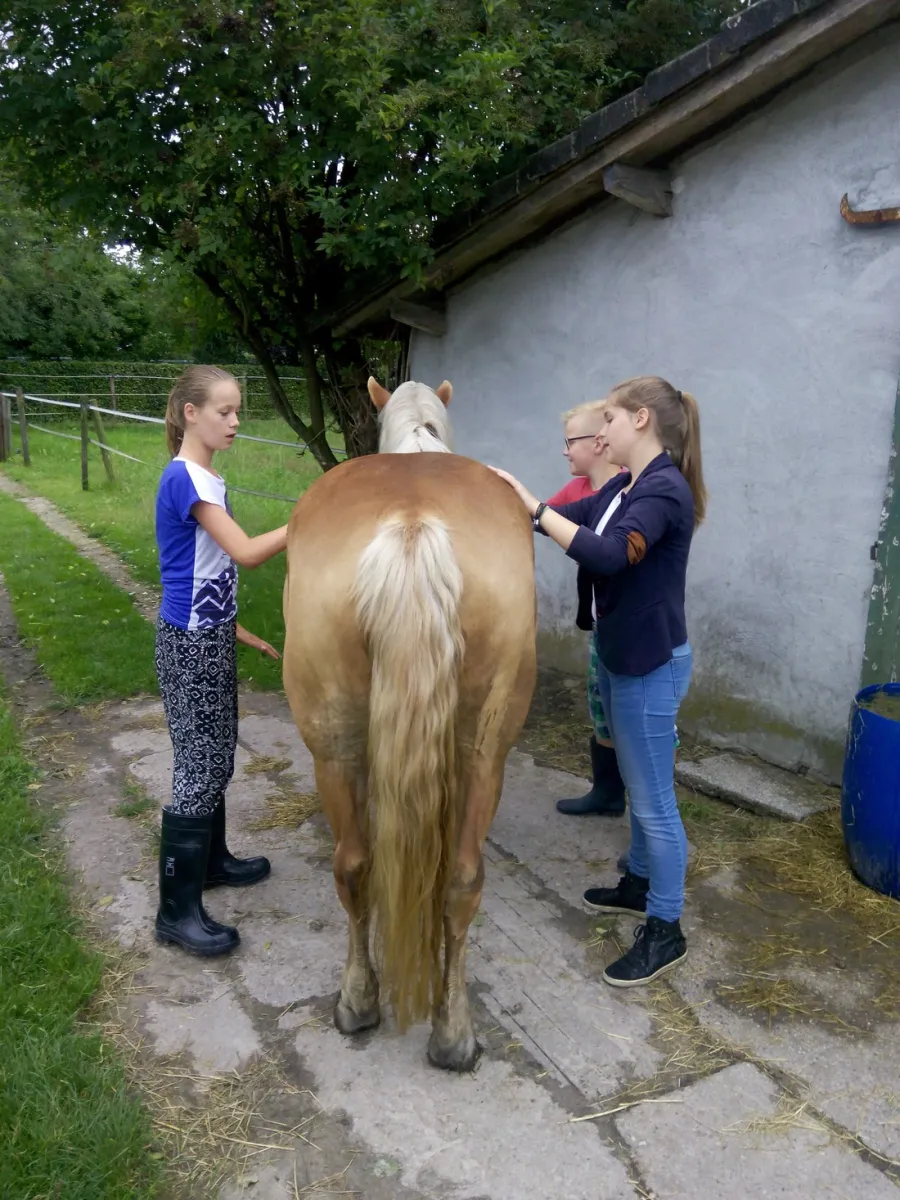 boerencamping-lempkes-hoof-weert-lidz1