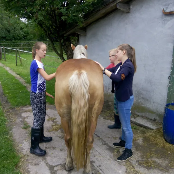 boerencamping-lempkes-hoof-weert-lidz1