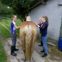 boerencamping-lempkes-hoof-weert-lidz1