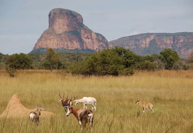 lady-africa-bush-lodge-sterkrivier-24rvj