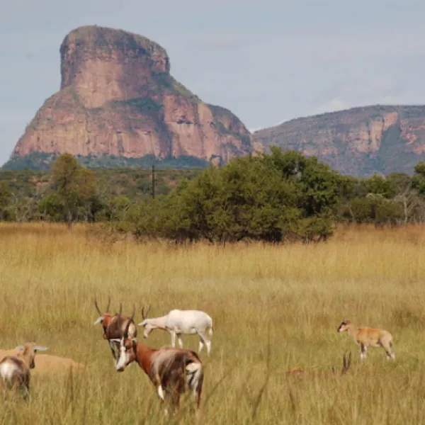 lady-africa-bush-lodge-sterkrivier-24rvj