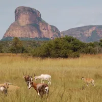 lady-africa-bush-lodge-sterkrivier-24rvj