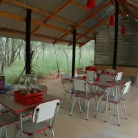 lady-africa-bush-lodge-sterkrivier-uq9kc