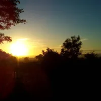grindlebrook-farm-exeter-imltc