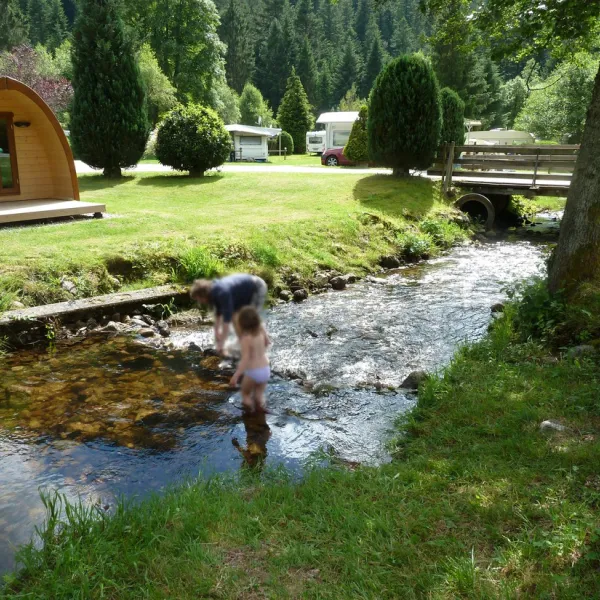 verte-vallee-xonrupt-longemer-vosges-06r9t