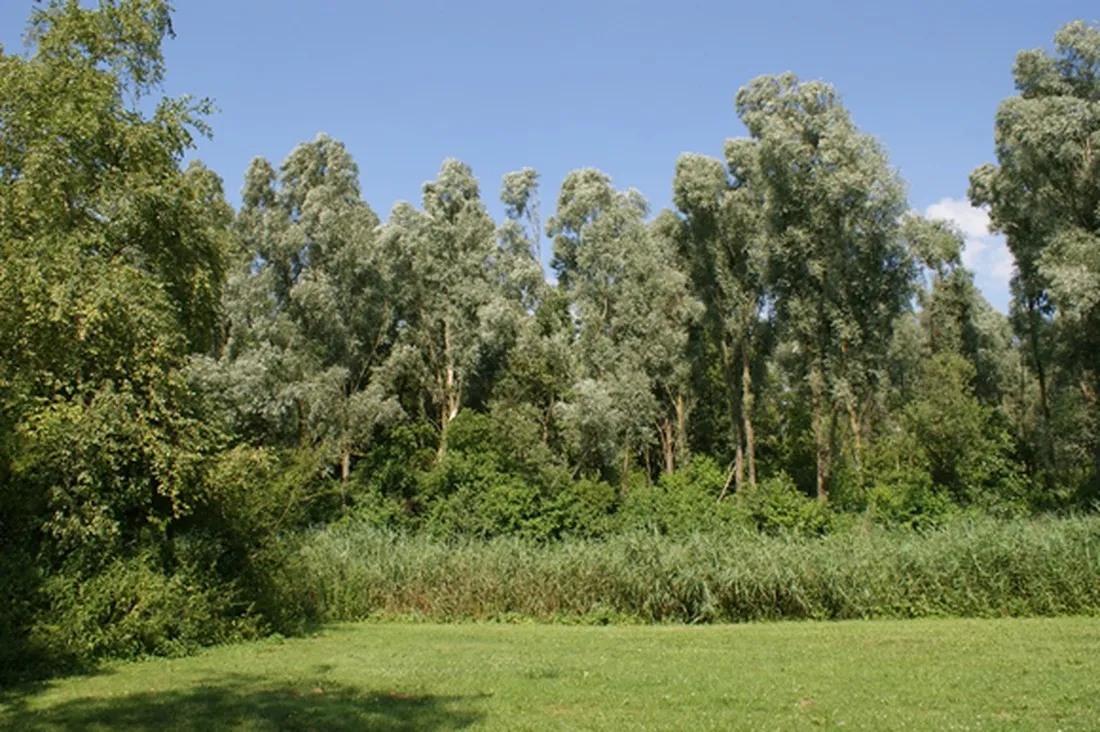 kampeerterrein-de-pomp-kollumerpomp-pfdz7
