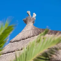 toison-dor-resort-spa-ramatuelle-oqv3c
