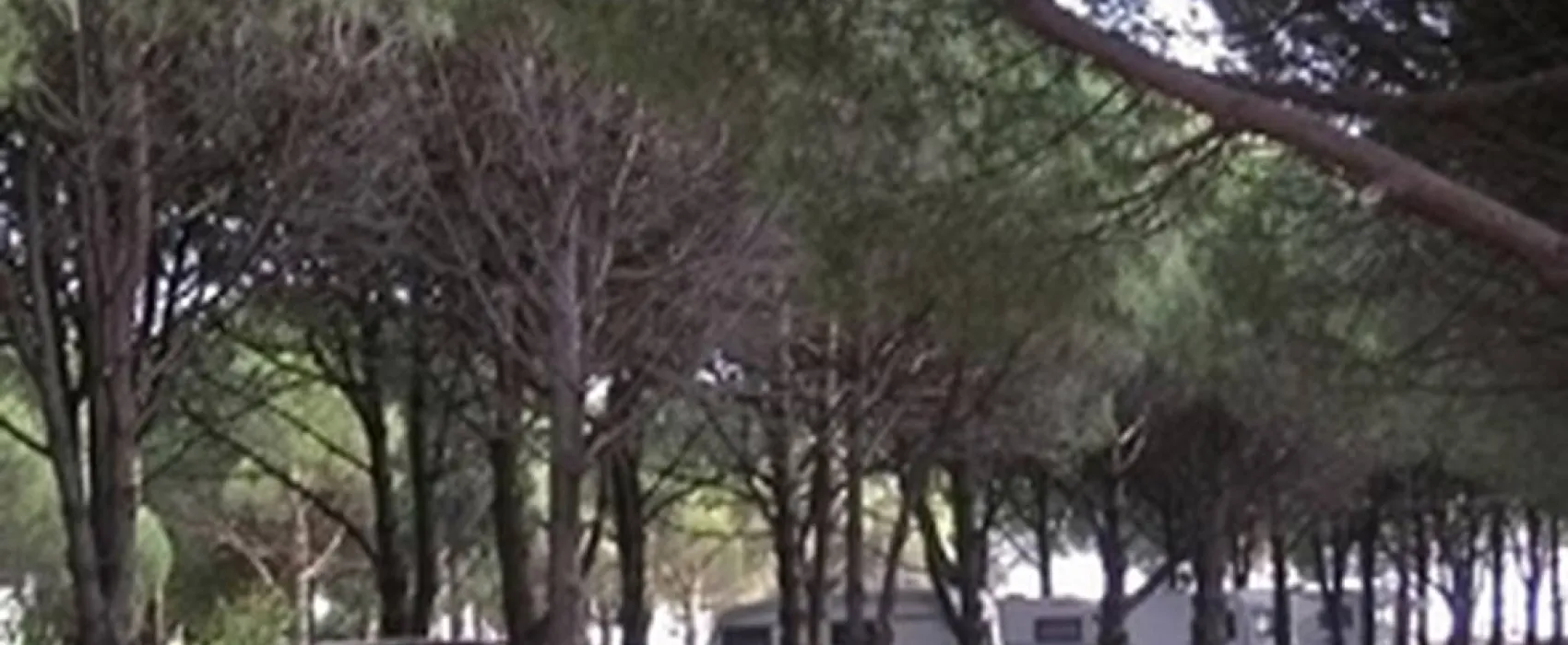 Kapıdag camping