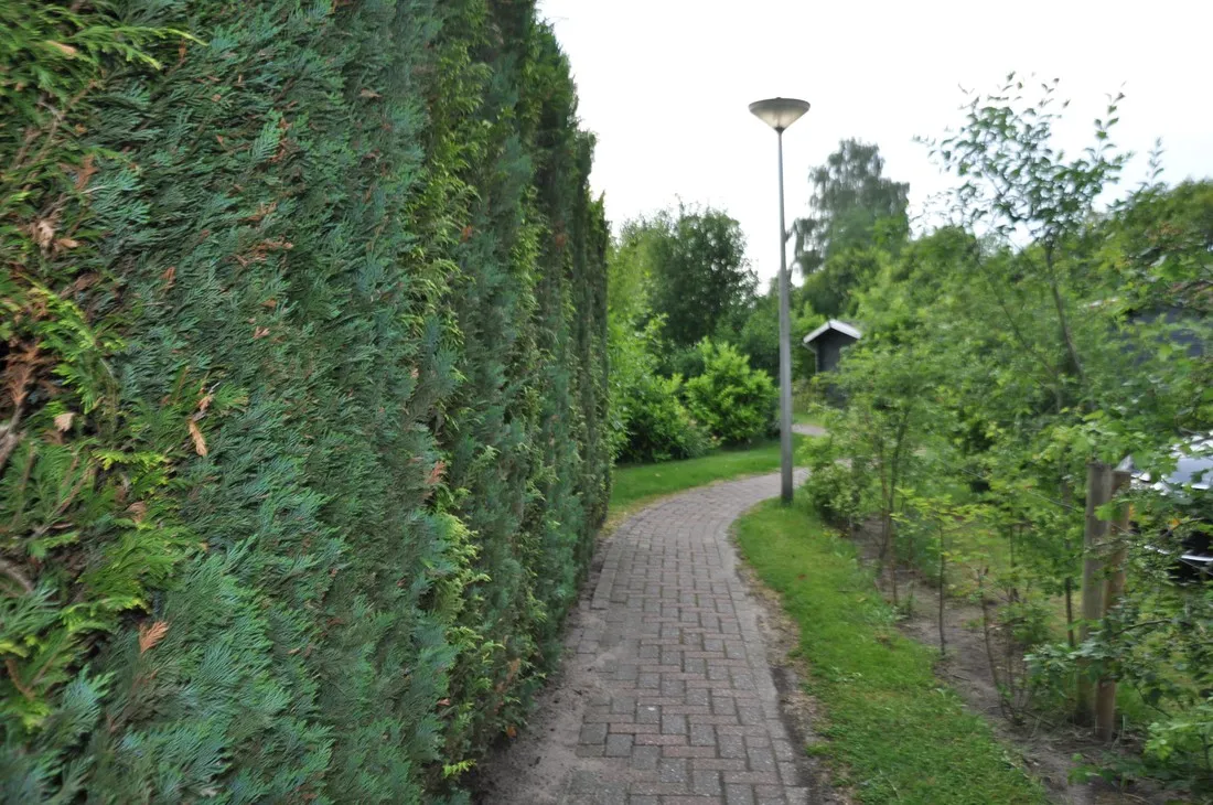 euro-deurningen-5q3si