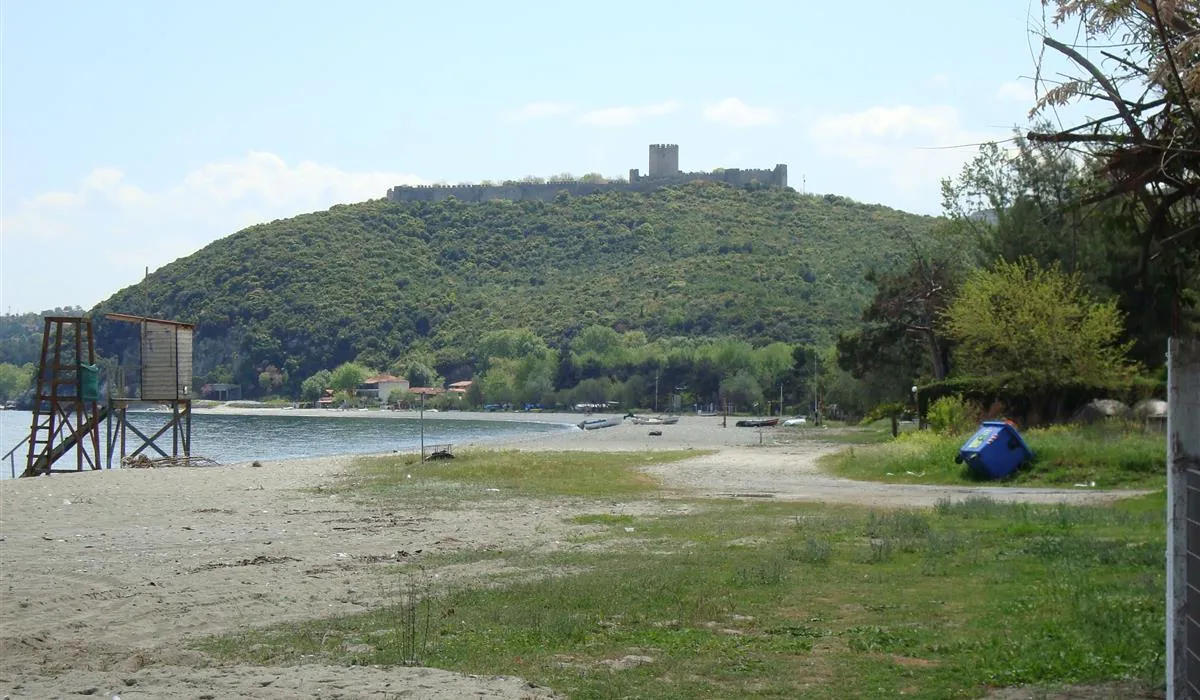 arion-platamon-0oawn