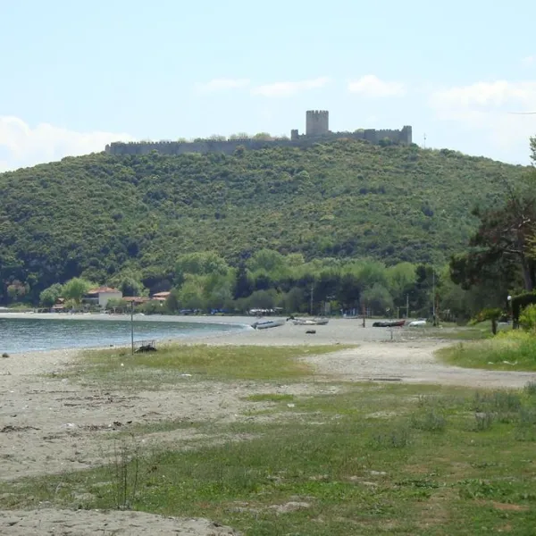 Arion