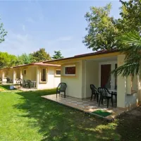 du-parc-lazise-dfjam