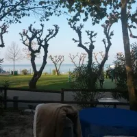 du-parc-lazise-wryi1