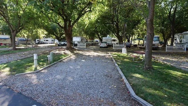 sacramento-river-rv-park-redding-reusj