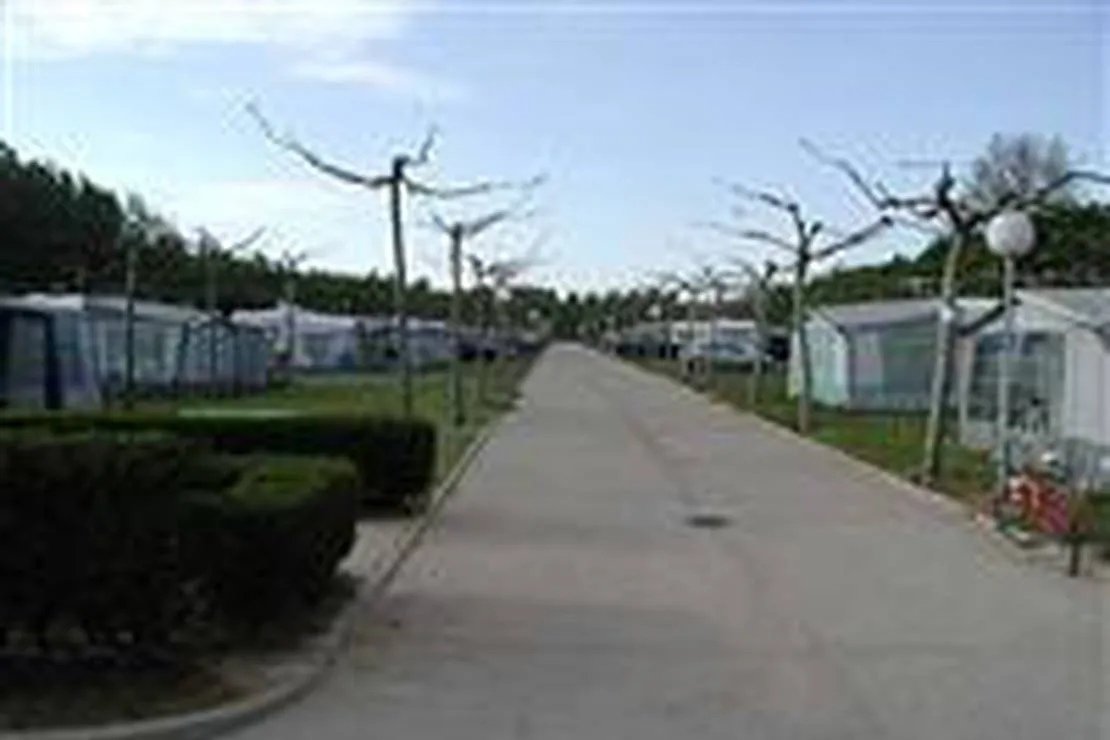 camping-don-suero-de-quinones-hospital-de-orbigo-xdwxm