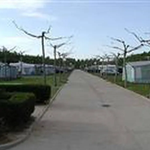 camping-don-suero-de-quinones-hospital-de-orbigo-xdwxm