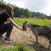 winzerhof-camping-strablegg-narrath-7dctk