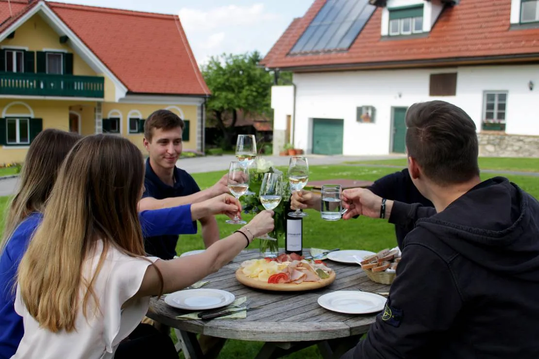 winzerhof-camping-strablegg-narrath-mbzxc