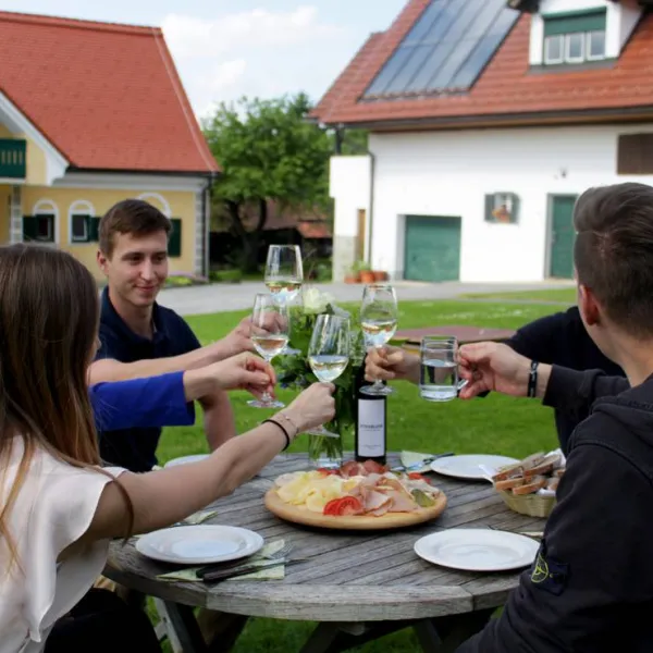winzerhof-camping-strablegg-narrath-mbzxc