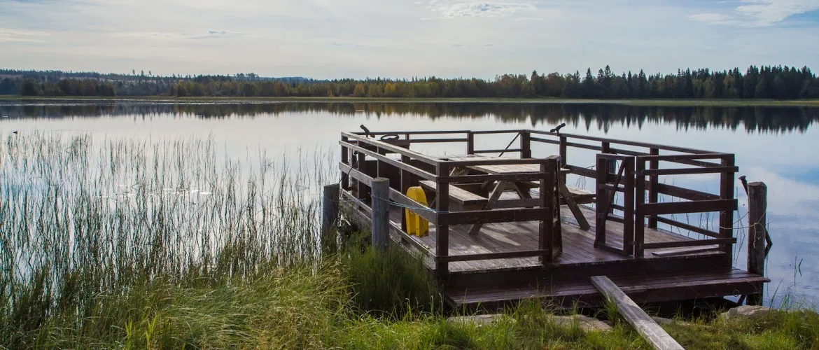 kolbacken-stugby-camping-asarna-rtiun