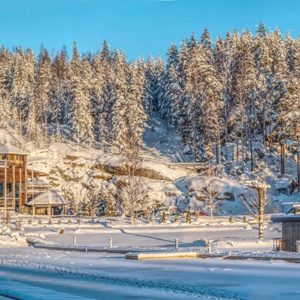 Hotel & Spa Resort Järvisydan