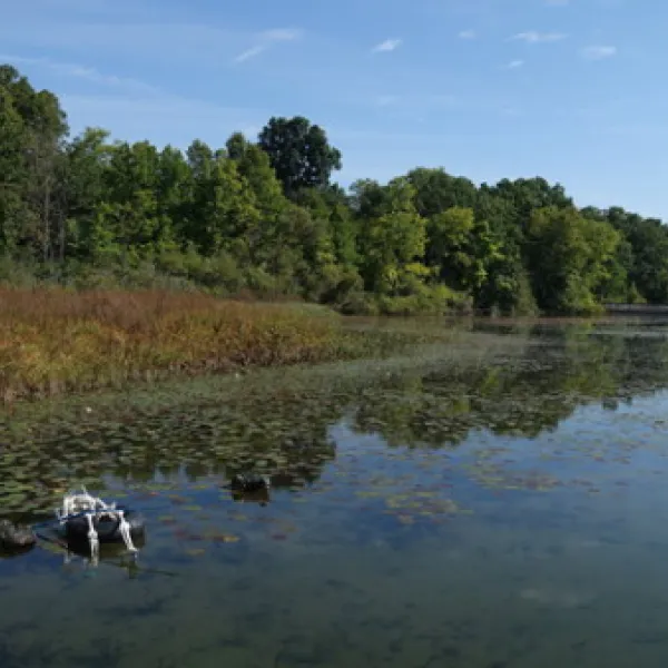 Myers Lake Campground