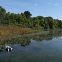 myers-lake-campground-byron-jtkte