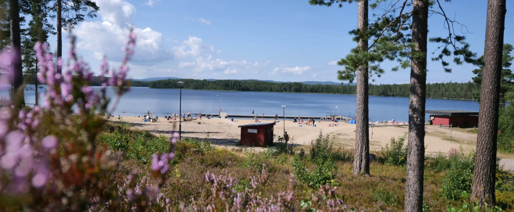 Camp Igge   