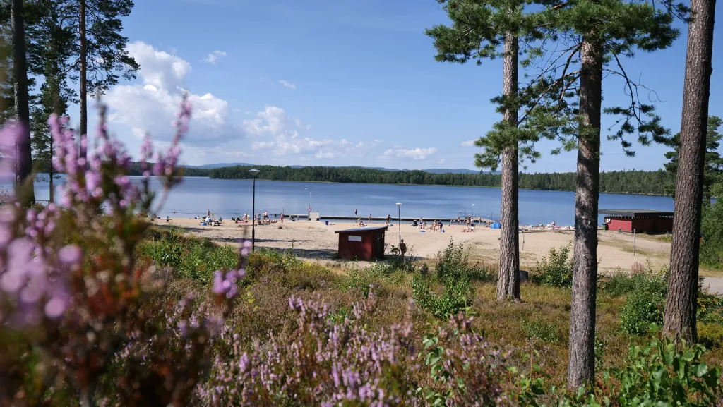 camp-igge-iggesund-ux5e3