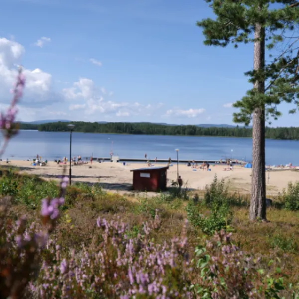 camp-igge-iggesund-ux5e3