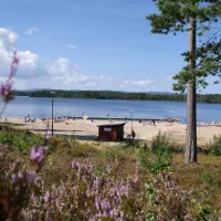 camp-igge-iggesund-ux5e3