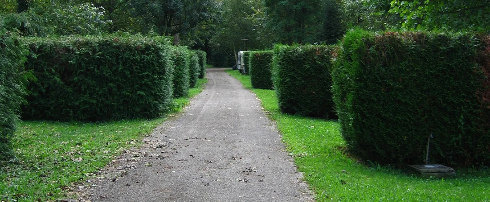 Les Marronniers