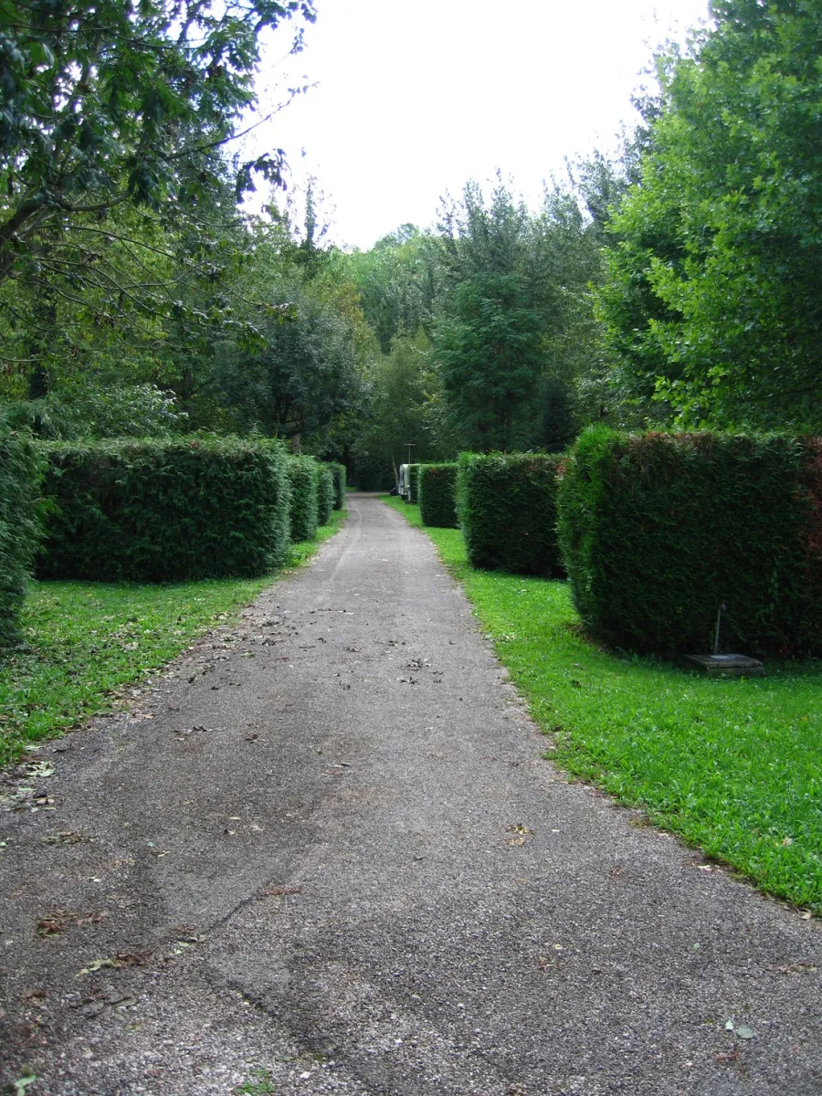 les-marronniers-rochefort-sur-nenon-jura-qbrvm
