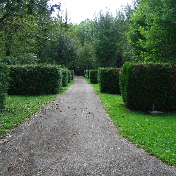 les-marronniers-rochefort-sur-nenon-jura-qbrvm