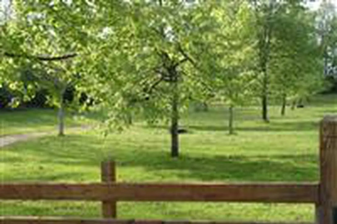 camping-municipal-malleval-en-vercors-019at