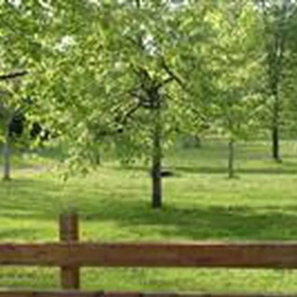 camping-municipal-malleval-en-vercors-019at
