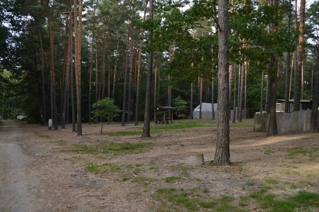 camping-biehainer-seen-ev-horka-7gxbj