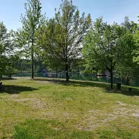 camping-biehainer-seen-ev-horka-pe6dg