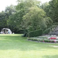 de-rooejbes-neer-gs1jg