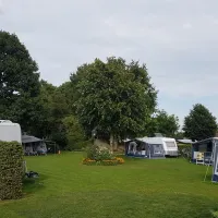 de-rooejbes-neer-x8vwh