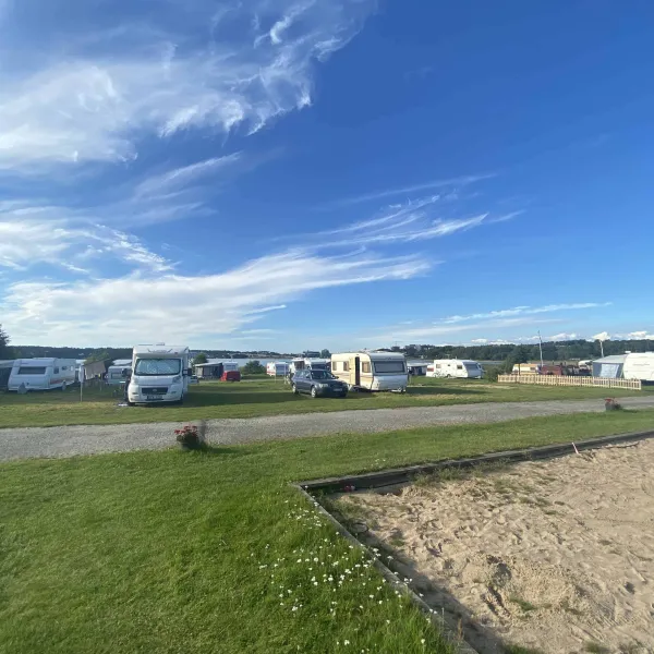 Surfviken