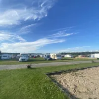 Surfviken