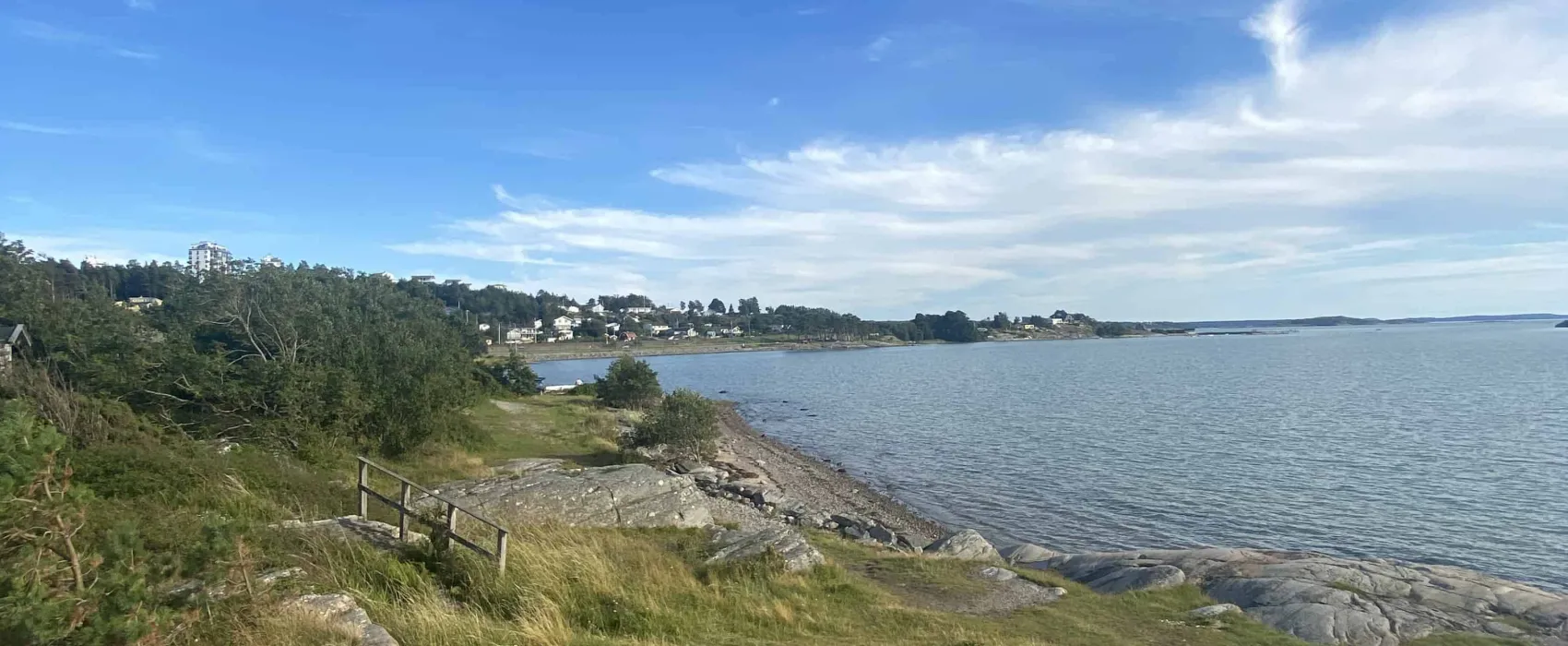 Surfviken