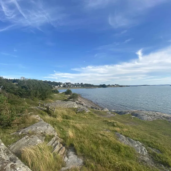 surfviken-stenungsund-scwsb