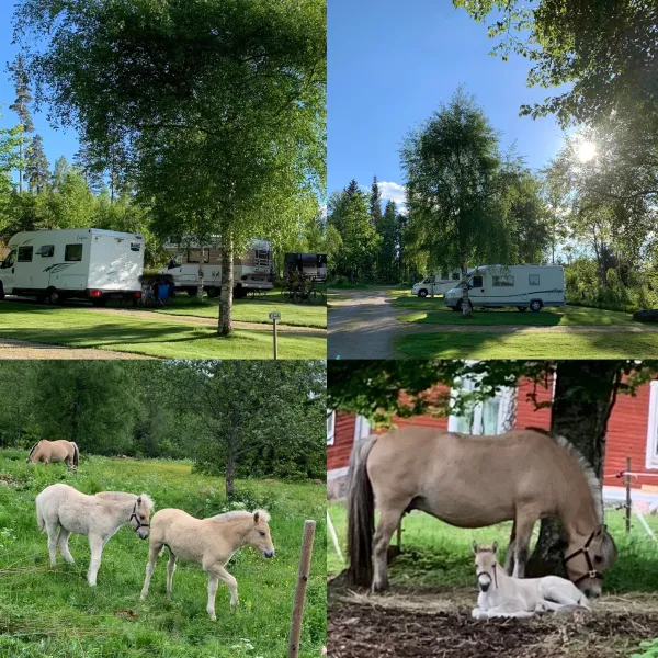 stallplats-lyckarp-hult-fucqa