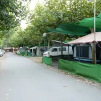 la-chopera-plasencia-zbnr0