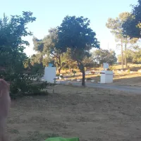 camping-algarve-moncarapacho-moncarapacho-wgxiv
