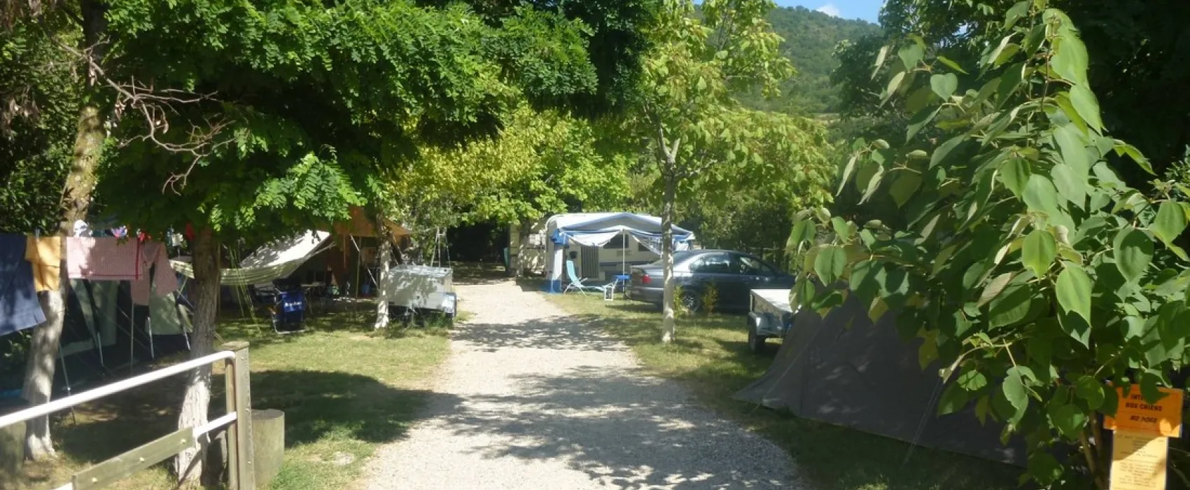 Les Lavandes